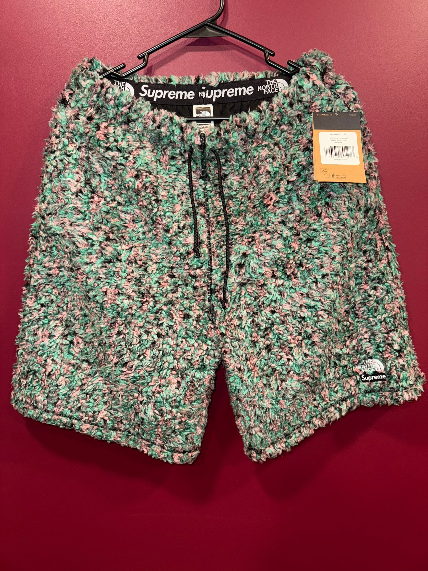 Supreme x The North Face Fleece Shorts NWT (Medium)